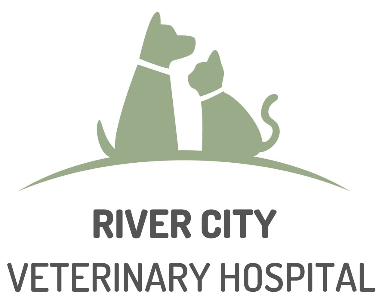 River City Logo